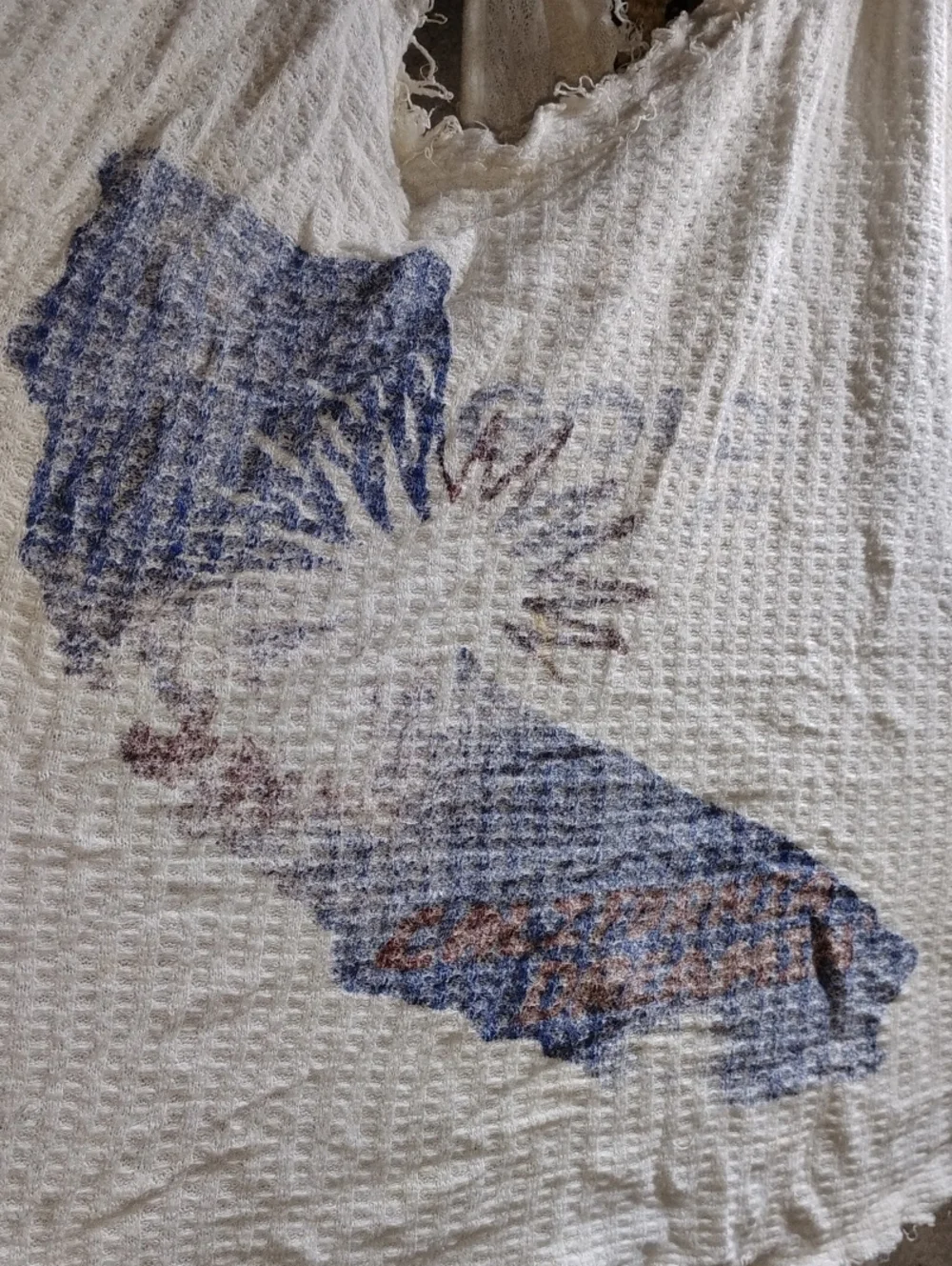 Free People White Waffle Knit Floral Tank Top with Blue Print